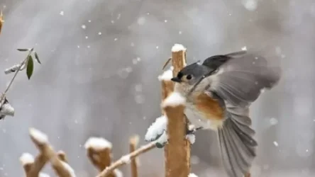 Առաջիկա օրերի եղանակի տեսությունը