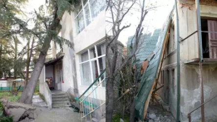 ԼՈՒՍԱՆԿԱՐՆԵՐ․ Արևմտյան Վրաստանում մոլեգնող ուժեղ քամին տապալել է ծառեր, պոկել տանիքներ