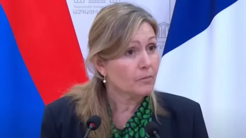 Կան բաներ, որոնք խոցելի են դարձնում Հայաստանը. Ֆրանսիայի ԱԺ նախագահ