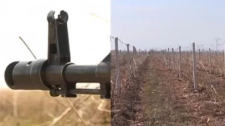 Ադրբեջանը կրակել է Մաճկալաշենի այգիներում էտման աշխատանքներ իրականացնող քաղաքացիների ուղղությամբ