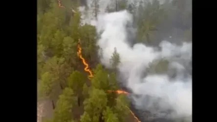 ՏԵՍԱՆՅՈՒԹ. Ռուսաստանի և Ղազախստանի սահմանին անտառային հրդեհը մարել չի հաջողվում