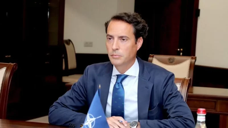 Երևան կժամանի ՆԱՏՕ-ի գլխավոր քարտուղարի ներկայացուցիչը. «Ազատություն»