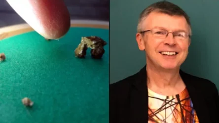 ԼՈՒՍԱՆԿԱՐՆԵՐ. Բրիտանացի նկարիչը վերստեղծել է Սթոունհենջը իր երիկամներից հանված քարերից