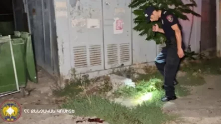 Երևանի 41-ամյա բնակիչը ռեստորաններից մեկի հետնամասում դանակահարել է չորս հոգու. ՔԿ