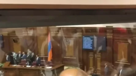 ՏԵՍԱՆՅՈՒԹ. Անվտանգության աշխատակիցները հրմշտում են ԱԺ նիստը լուսաբանող լրագրողներին