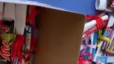 ՏԵՍԱՆՅՈՒԹ․ Ծանրոցն էլ երբեք տեղ չի հասնի. Հայկ Կիրակոսյանը չհասցրեց  եղբոր անակնկալը ստանալ