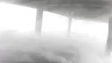 ՏԵՍԱՆՅՈՒԹ․ ««Իդա» թայֆունի ավերածությունները՝ ԱՄՆ Լուիզիանա նահանգում». Սուրենյան