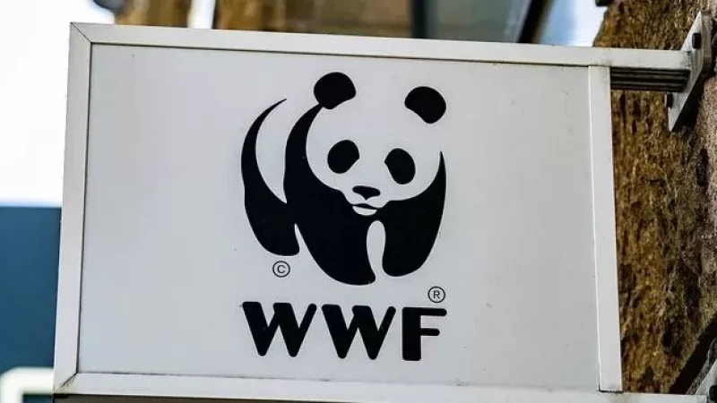 Ռուսաստանում Բնության համաշխարհային հիմնադրամը ճանաչվել է անցանկալի կազմակերպություն