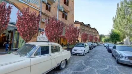 Երևանի քաղաքապետարանը սակուրայի մեկ տնկին ձեռք է բերել 65-72 հազար դրամով․ «Հետք»