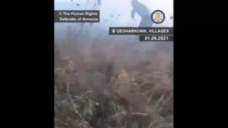 ՏԵՍԱՆՅՈՒԹ․ Ադրբեջանցի զինծառայողների գցած հրդեհները Գեղարքունիքում մինչ օրս մարել չի հաջողվում․ ՄԻՊ