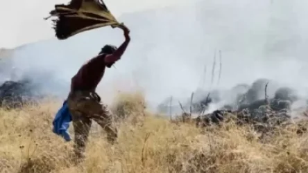 Կութում կրկին ուժեղ կրակ է, բնակիչները` ադրբեջանցիների կրակի տակ ձեռքով են մարում կրակը