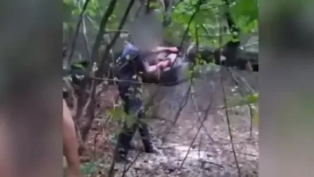 ՏԵՍԱՆՅՈՒԹ. Քաղաքացուն բռնել են բենզասղոցով ծառեր հատելիս