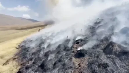 Կութում 20 հա խոտածածկույթ է այրվում. 14 հրշեջ-փրկարար տեղում փորձում են մարել կրակը