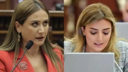 ԵԽԽՎ-ում հայ պատվիրակը հակադարձել է ադրբեջանցուն, ով փորձել է խեղաթյուրել փաստերը