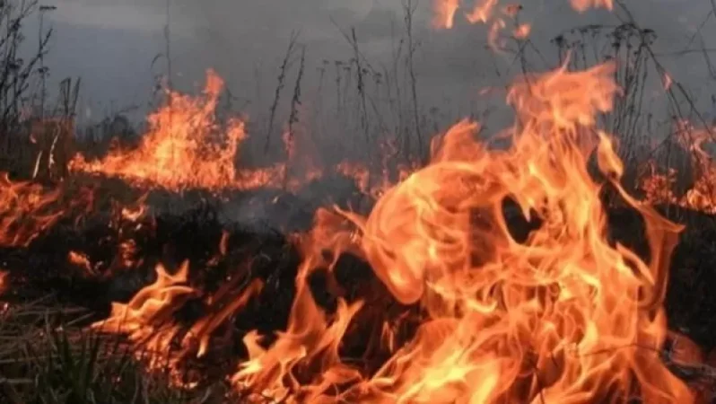 Կրակն Ադրբեջանի կողմում է․ ԱԻՆ-ից մանրամասներ են հայտնում