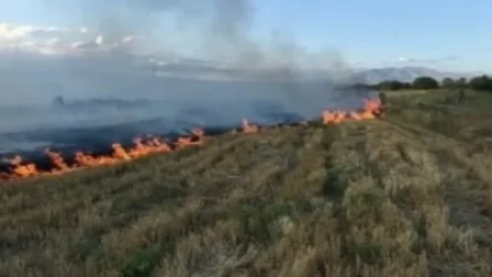 Թթուջուր գյուղին պատկանող հանդամասում այրվել է մոտ 30 հա խոտածածկույթ