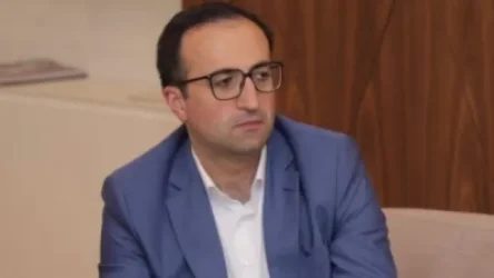 Միքայել Մինասյանի ստեղծած «Անտինիկոլ» նախաձեռնությանը միացած Սերգեյ Չամանյանը ներողություն է խնդրել Արսեն Թորոսյանից