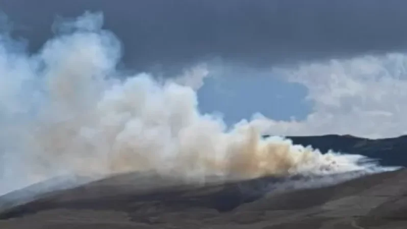 Լուսանկարներ՝ ադրբեջանցի զինծառայողների հրդեհած արոտավայրերից