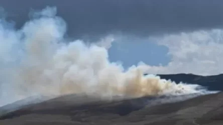 Լուսանկարներ՝ ադրբեջանցի զինծառայողների հրդեհած արոտավայրերից