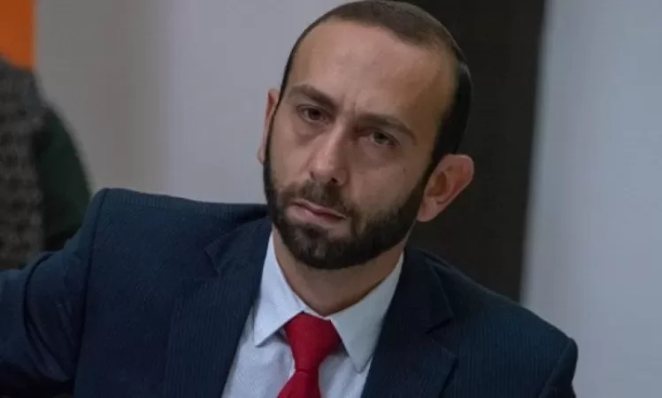 Երեխաներին որդեգրում են օրգանների վաճառքի համար. Արարատ Միրզոյան