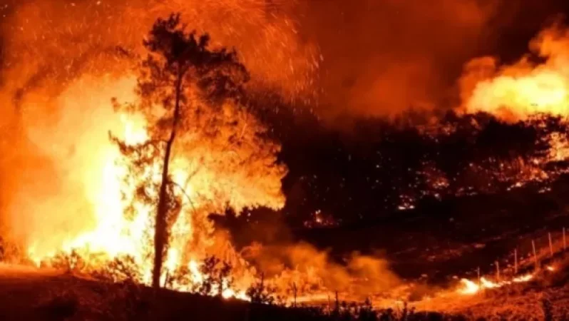 Թուրքիայում կրկին անտառային հրդեհ է բռնկվել