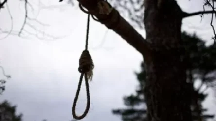 Լոռու մարզում հայրը տան բակի ծառից կախված հայտնաբերել է 16-ամյա որդու դին