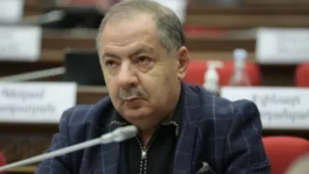 «Այս պայմաններում գունագեղ, մասշտաբային նշել անկախության օրը, ուղղակի զառանցանք է, աներեսության ևս մեկ դրսեւորում»». Վարդանյան