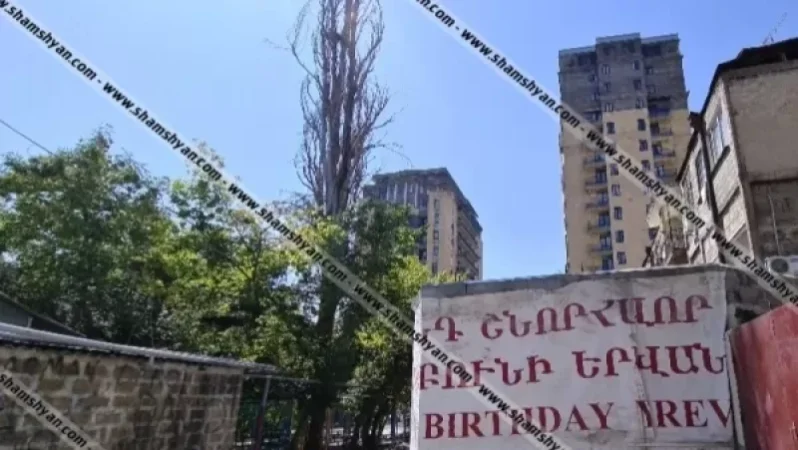 Հսկայական չորացած բարդին` վտանգ մանկապարտեզի սաների համար