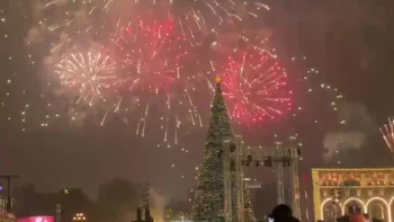 ՏԵՍԱՆՅՈՒԹ. Վառվեցին Հանրապետության հրապարակի գլխավոր տոնածառի լույսերը