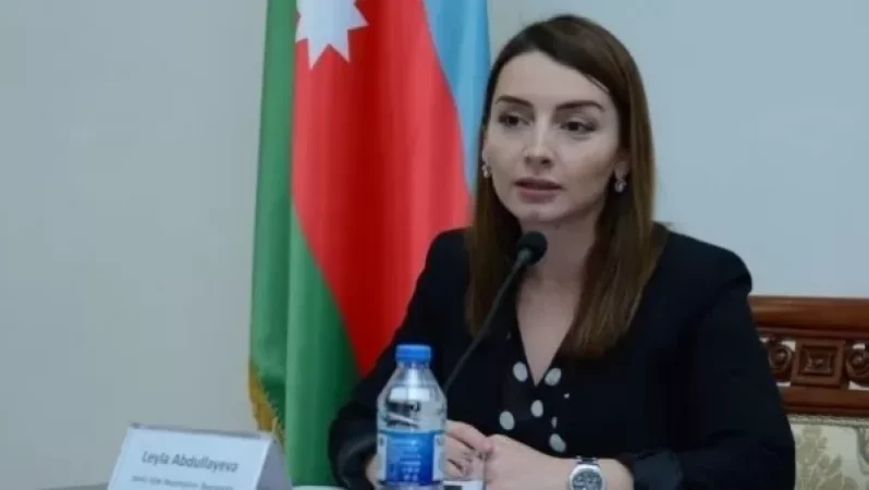 Բաքվում վրդովված են Հայաստանում ԱՄՆ դեսպանի հայտարարությունից. Ադրբեջանի  ԱԳՆ հայտարարությունը