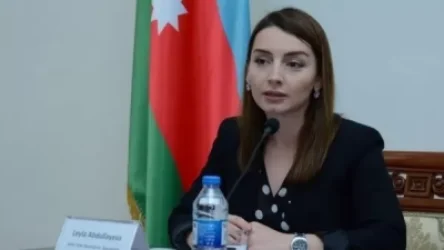 Բաքվում վրդովված են Հայաստանում ԱՄՆ դեսպանի հայտարարությունից. Ադրբեջանի  ԱԳՆ հայտարարությունը