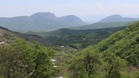 «Դիրքի տեղափոխություն է եղել, որը հստակ անցել է Ադրբեջանի հսկողության տակ»․ Ճակատենի համայնքապետը՝ Փայլասարի մասին