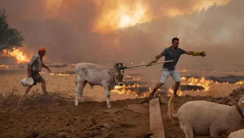 Թուրքիան կրկին կրակի մեջ է․ անտառային նոր հրդեհներ են բռնկվել