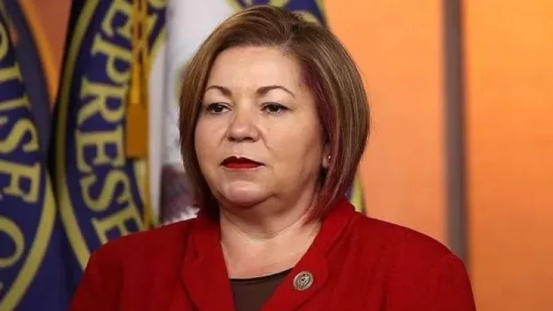 Ադրբեջանը պատասխանատվության  պետք է ենթարկվի` հայ ժողովրդի դեմ ագրեսիայի համար. ԱՄՆ կոնգրեսականը խոստացել է քայլեր ձեռնարկել