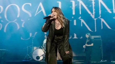 ԼՈՒՍԱՆԿԱՐ. Ռոզա Լինը աճուրդի է հանել իր բաճկոնը, որի վրա ահա` ինչ է գրված