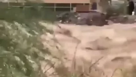 ՏԵՍԱՆՅՈՒԹ. Օմանի և ԱՄԷ -ի փողոցները վերածվել են վարարած գետերի