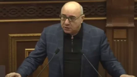 ՏԵՍԱՆՅՈՒԹ. «Ո՞վ եք, արա դուք, եկել դատավարություն եք անում». Արսենյանի կոշտ ելույթը ԱԺ-ում լարեց իրավիճակը