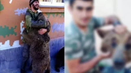 18+. ՏԵՍԱՆՅՈՒԹ. Քարվաճառի արջերը, որոնք գրկախառնվում էին հայ զինվորների հետ, մորթվում են ադրբեջանցի սադիստների կողմից