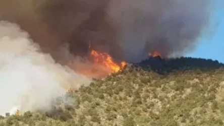 ՏԵՍԱՆՅՈՒԹ․ «Արևիկ» ազգային պարկի հրդեհը կրկին բորբոքվել է․ աշխատանքներում ներգրավված է նաև ՊՆ ուղղաթիռ