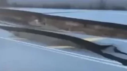 Թուրքիայի երկրաշարժի սարսափելի հետեւանքները