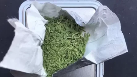 ՏԵՍԱՆՅՈՒԹ. Երեւանի զբոսայգիներից մեկում անհայտ տղամարդուց «Կրիստալ» թմրանյութ էր գնել. Օգտվել էին «Տելեգրամ» ալիքից