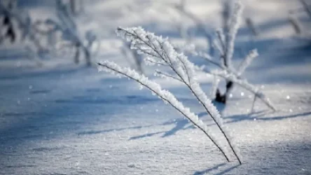 Առաջիկա օրերի եղանակը՝ ՀՀ տարածքում