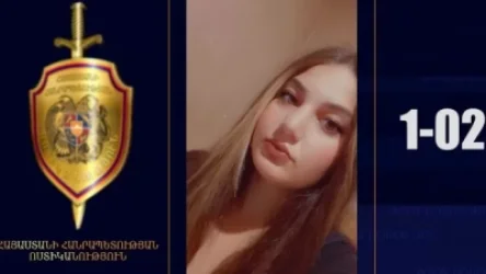 ՏԵՍԱՆՅՈՒԹ․ 16-ամյա աղջիկը որոնվում է որպես անհետ կորած