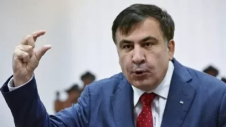 Միխայիլ Սաակաշվիլին չի հատել Վրաստանի սահմանը