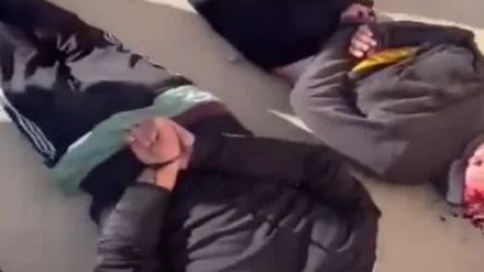 ՏԵՍԱՆՅՈՒԹ. Չեմ պատկերացնում մարդկանց նկատմամբ արհամարհանքի աստիճանը հիմա. ամերիկացի լրագրողը` Հաթայի թուրքական բանտի մասին