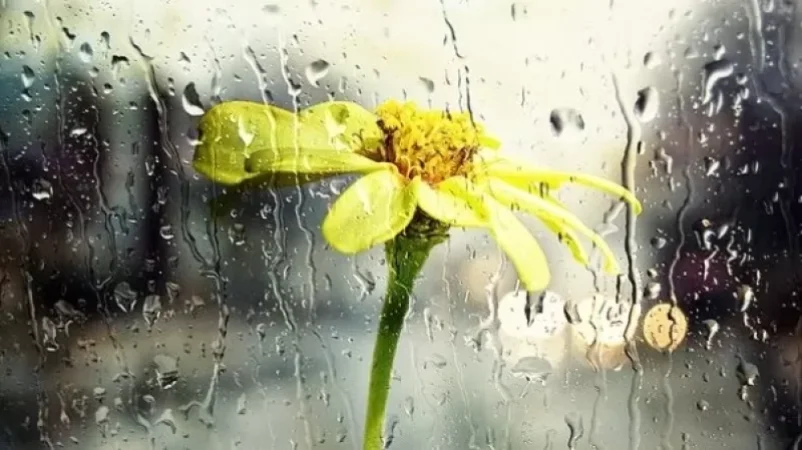 Առաջիկա օրերի եղանակը. սպասվում են տեղումներ