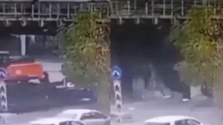 ՏԵՍԱՆՅՈՒԹ․ Վլադիվաստոկում տրակտորի հարվածից կամուրջ է փլուզվել