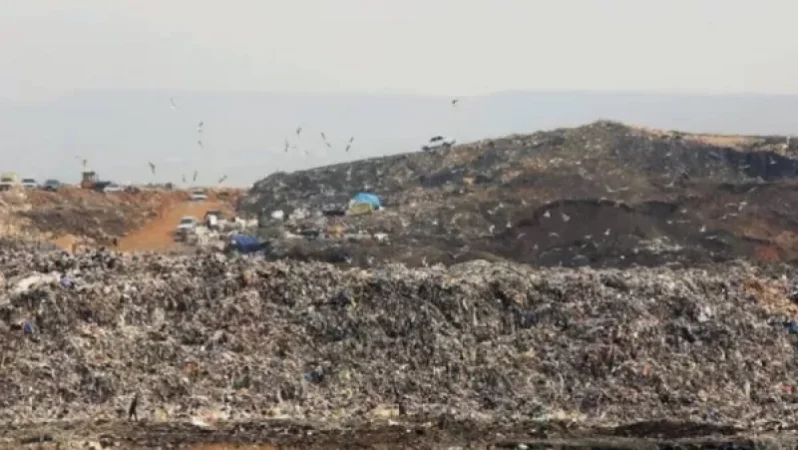 Աղբի վերամշակման ոլորտում իր փորձով Լիտվան կկիսվի Հայաստանի հետ