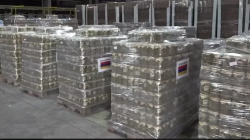 VIDEO: What was transported in trucks sent to Turkey