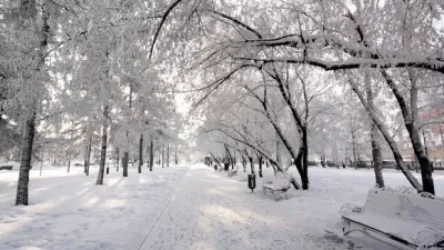 Օդի ջերմաստիճանը կնվազի. Շիրակում կգրանցվի մինչև-25 աստիճան